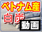 �x�g�i���̔��Y