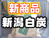���{�ɏ��߂ē`���������Y�̗��j�B�����A�󂯌p�����V�����Y�B