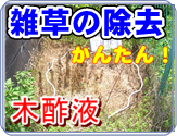�G���̏���