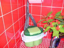�g�C����