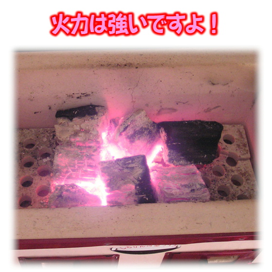 ���\�����Η͂����Ă��܂��B�Ύ��������̍��Y�ɔ�ׂ�Ƃ����ق��ł��B���Y�̓����́A��C�ɍ����ɒB����Ƃ���ŁA���Y�͏��X�ɍ����ɂȂ�܂��B