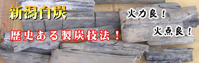 �V�����̔��Y